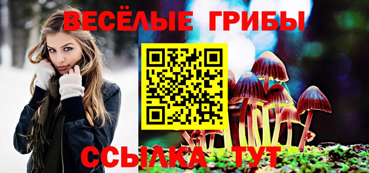 Псилоцибиновые грибы мухоморы  Вход с VPN  Псилоцибиновые грибы Psilocybe  Алейск 